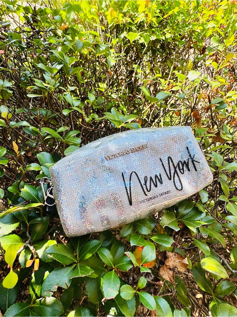 Victoria's Secret New York Iridescent Sequin Cosmetic Pouch
